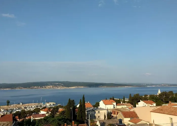 The View